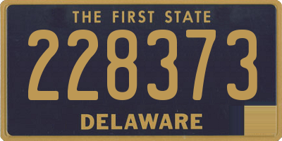 DE license plate 228373