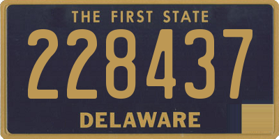 DE license plate 228437