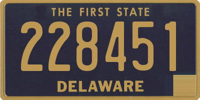 DE license plate 228451
