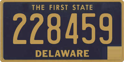 DE license plate 228459