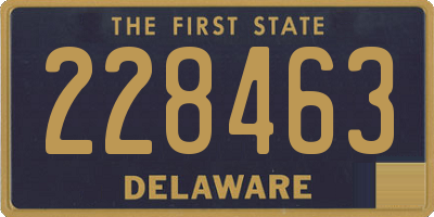 DE license plate 228463