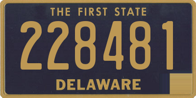 DE license plate 228481