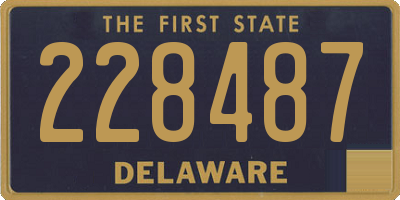 DE license plate 228487