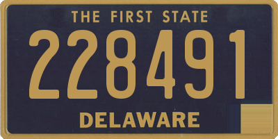 DE license plate 228491