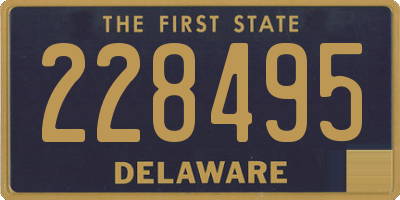 DE license plate 228495