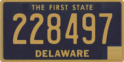 DE license plate 228497