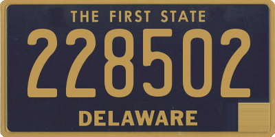 DE license plate 228502