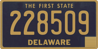 DE license plate 228509