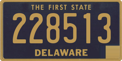 DE license plate 228513