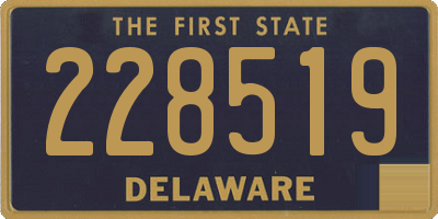 DE license plate 228519