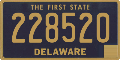 DE license plate 228520