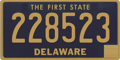 DE license plate 228523