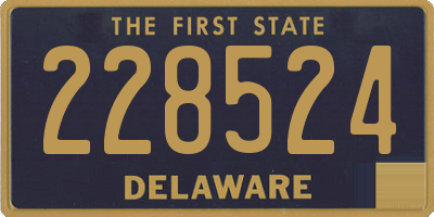 DE license plate 228524