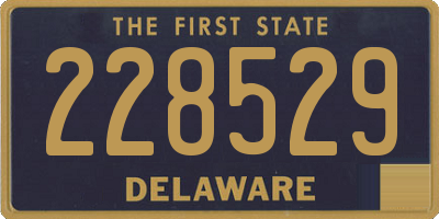 DE license plate 228529