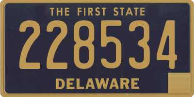 DE license plate 228534