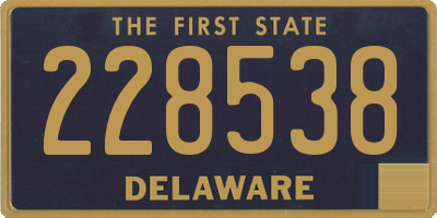 DE license plate 228538