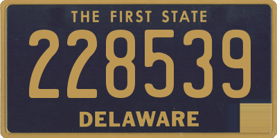 DE license plate 228539