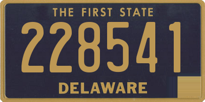 DE license plate 228541