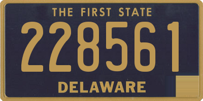 DE license plate 228561