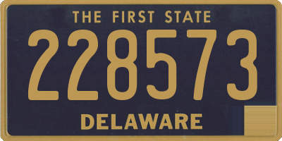 DE license plate 228573