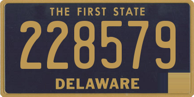 DE license plate 228579