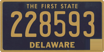 DE license plate 228593