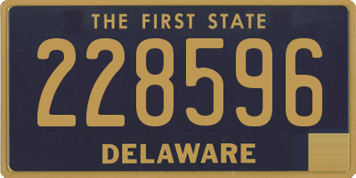 DE license plate 228596