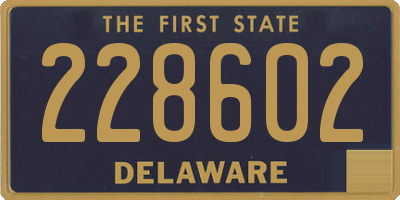 DE license plate 228602