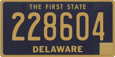 DE license plate 228604