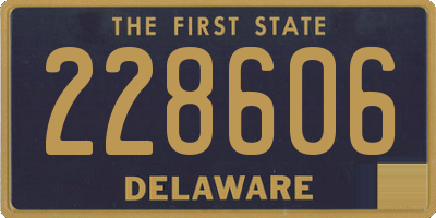 DE license plate 228606