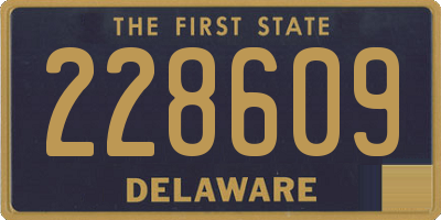 DE license plate 228609