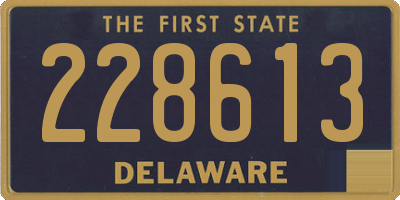 DE license plate 228613