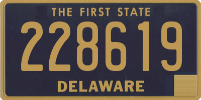 DE license plate 228619