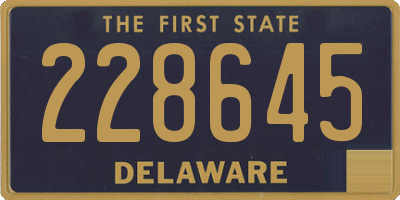 DE license plate 228645