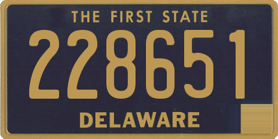 DE license plate 228651