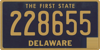 DE license plate 228655