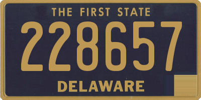 DE license plate 228657