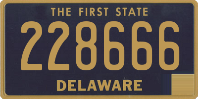 DE license plate 228666