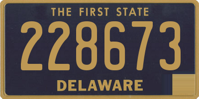 DE license plate 228673