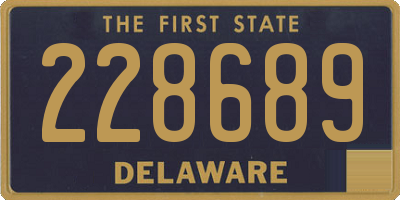 DE license plate 228689