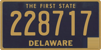 DE license plate 228717