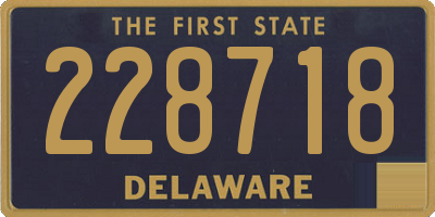 DE license plate 228718