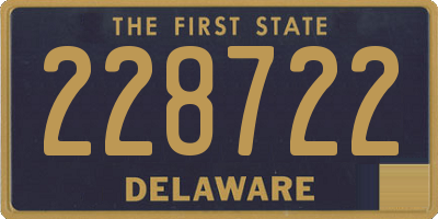 DE license plate 228722