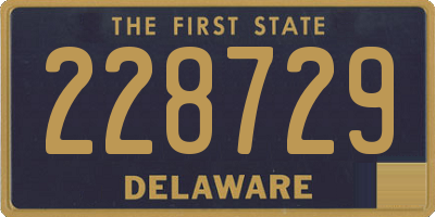 DE license plate 228729