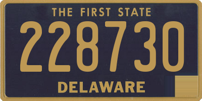 DE license plate 228730