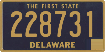 DE license plate 228731