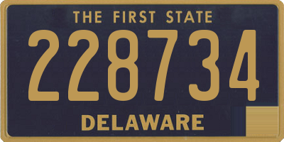 DE license plate 228734