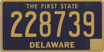 DE license plate 228739