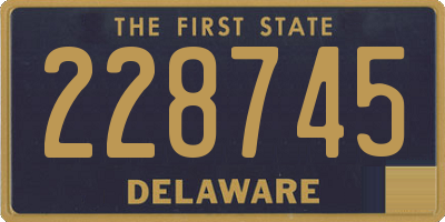 DE license plate 228745