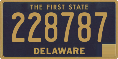 DE license plate 228787